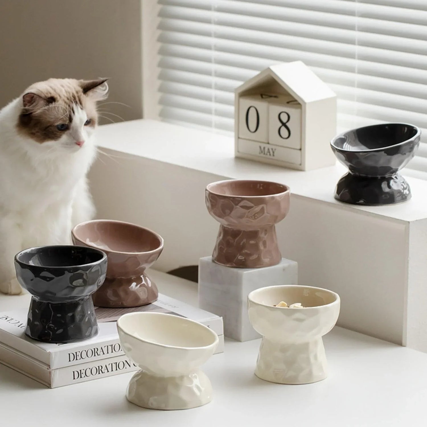 Pet Bowls