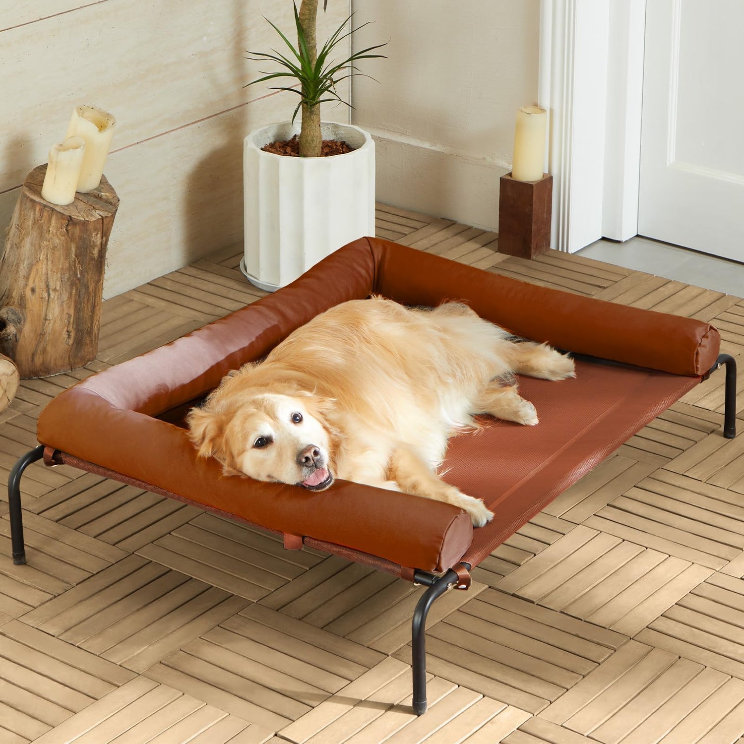 Elevated Beds